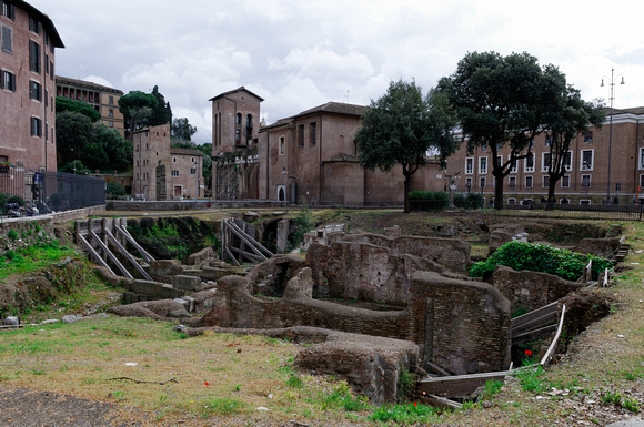 near - Forum Boarium