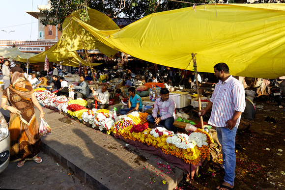 Jaipur Old City flower market