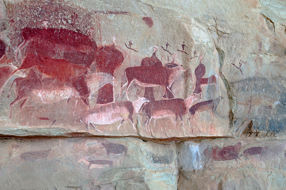 Detail of Bushmen art