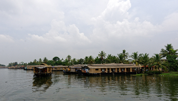 On the Kerala Backwaters