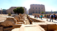 Temples of Karnak and Luxor