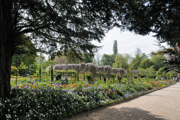 Sous les arbres aux jardin de M. Claude Monet